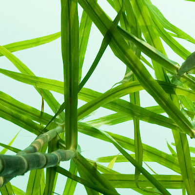 Environmentally Acceptable Base Oils